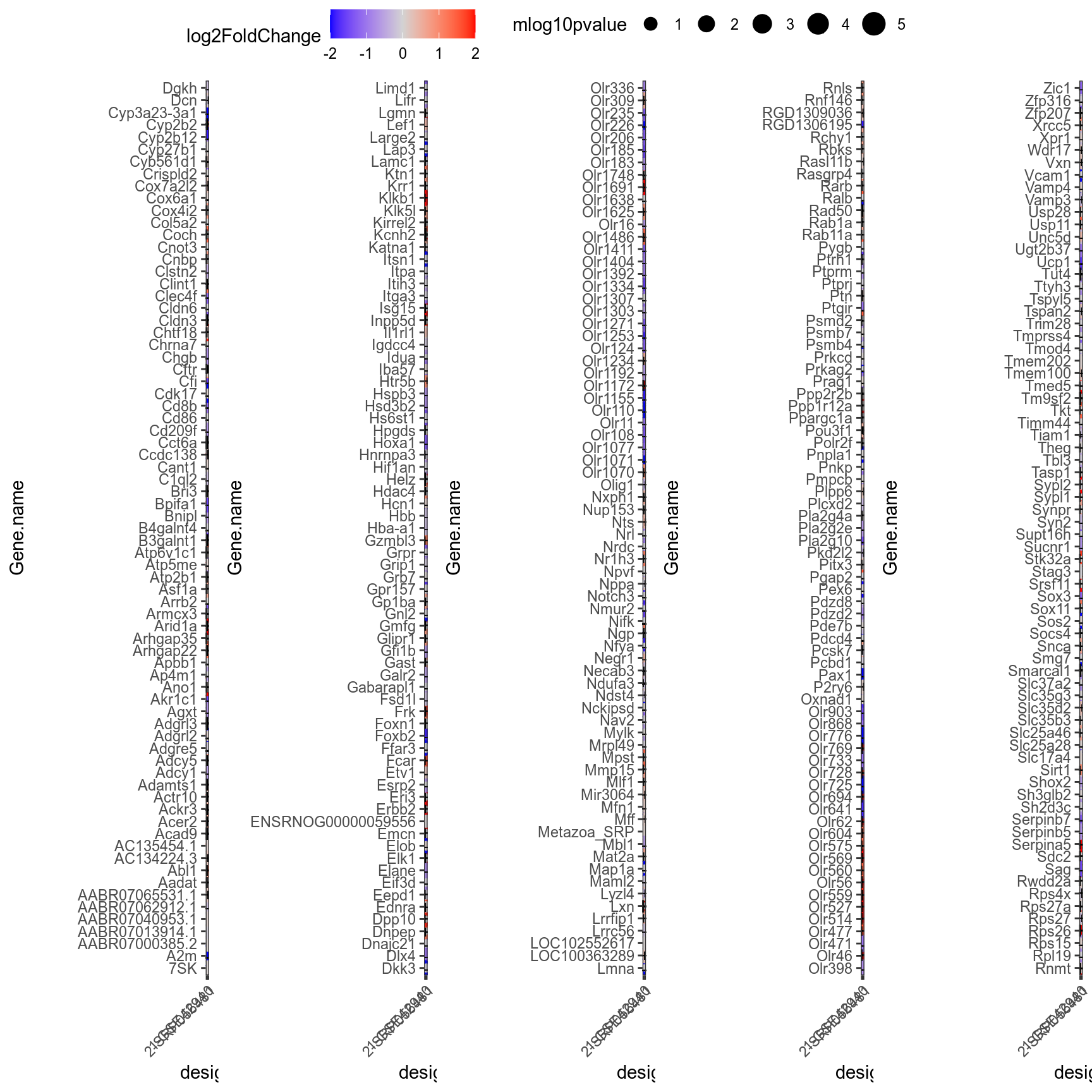 Alphabetically-sorted genes significant in at least one comparison (padj < 0.05). + and – signs highlight respectively upregulated and downregulated genes (|logFoldChange| > 0.1 and raw pvalue < 0.05).