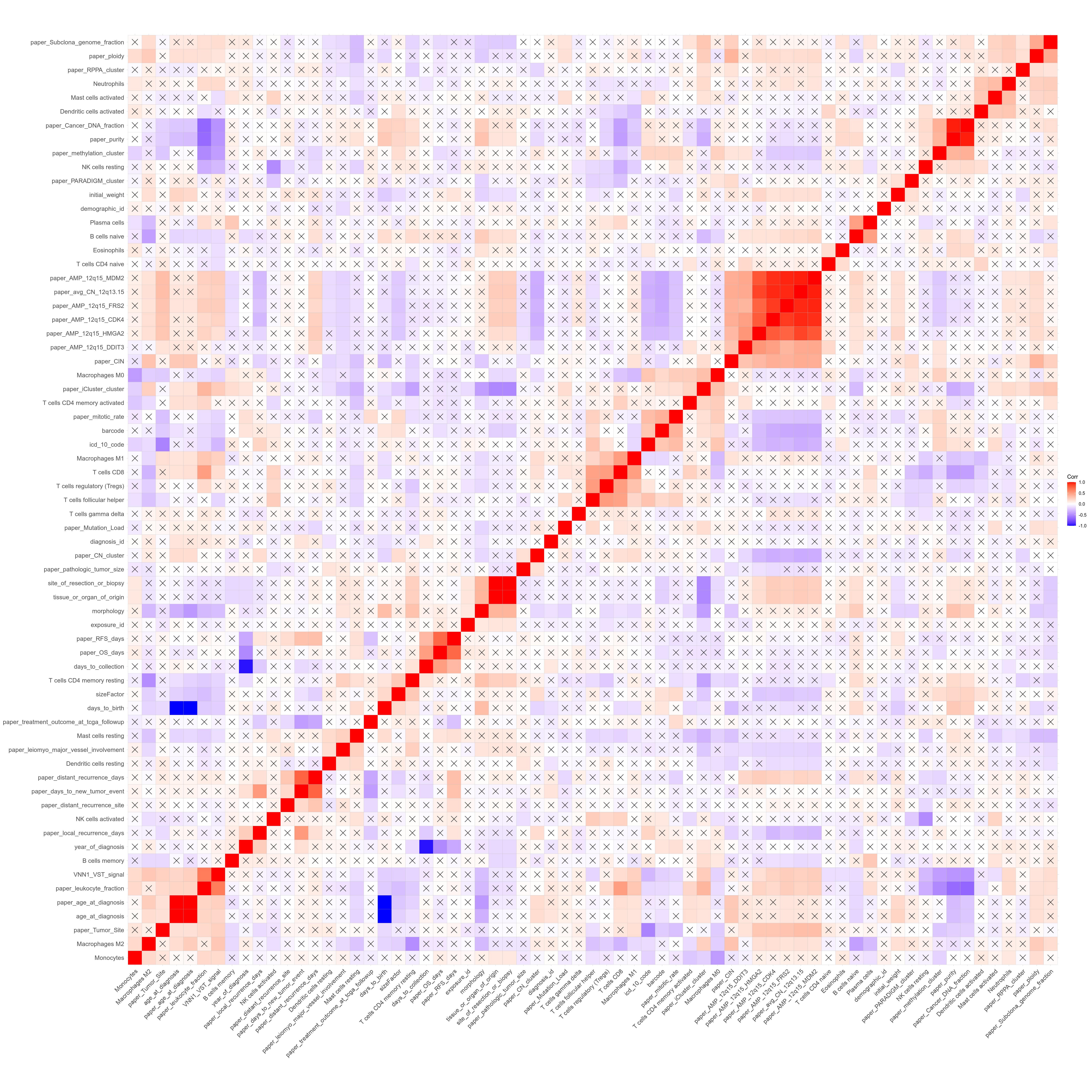Correlogram for VNN1 signal, CIBERSORTx mixture decomposition and metadata converted as numeric. Note that some conversions to numeric are actually meaningless here, e.g. samples names... Black cross highlight comparisons not passing a p-value < 0.05 threshold.