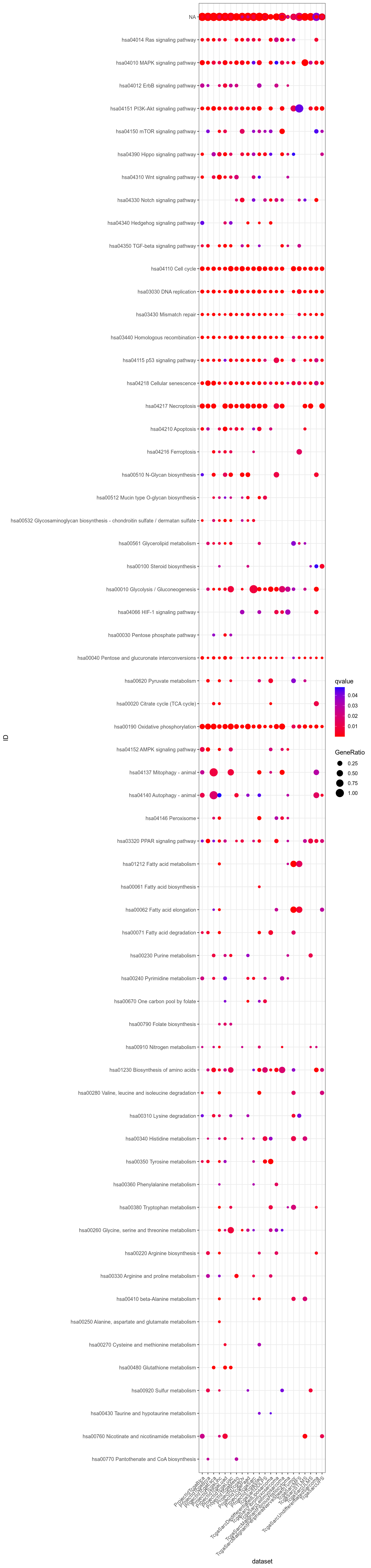 Dotplot for Kegg significant (q-value < 0.05) in at least one dataset.
