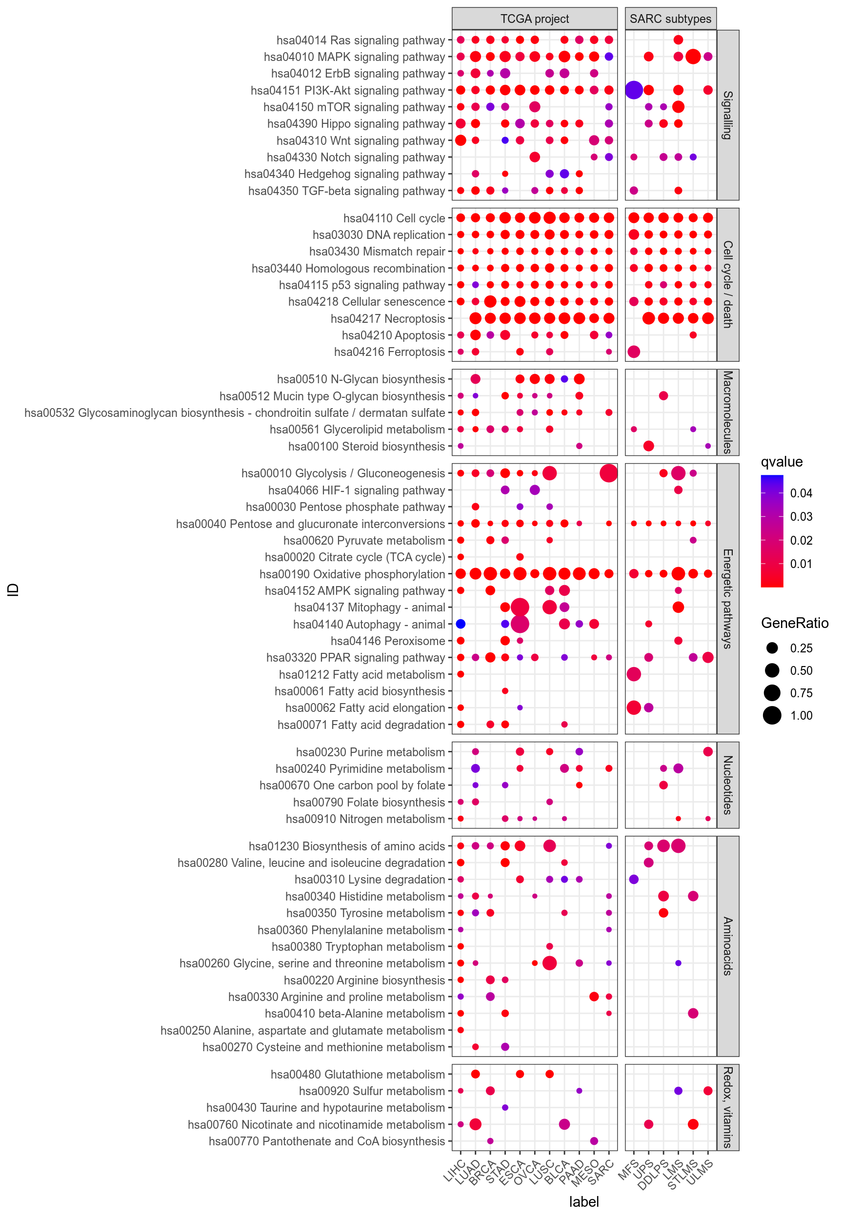 Dotplot for Kegg of interest (provided by Philipe Naquet).