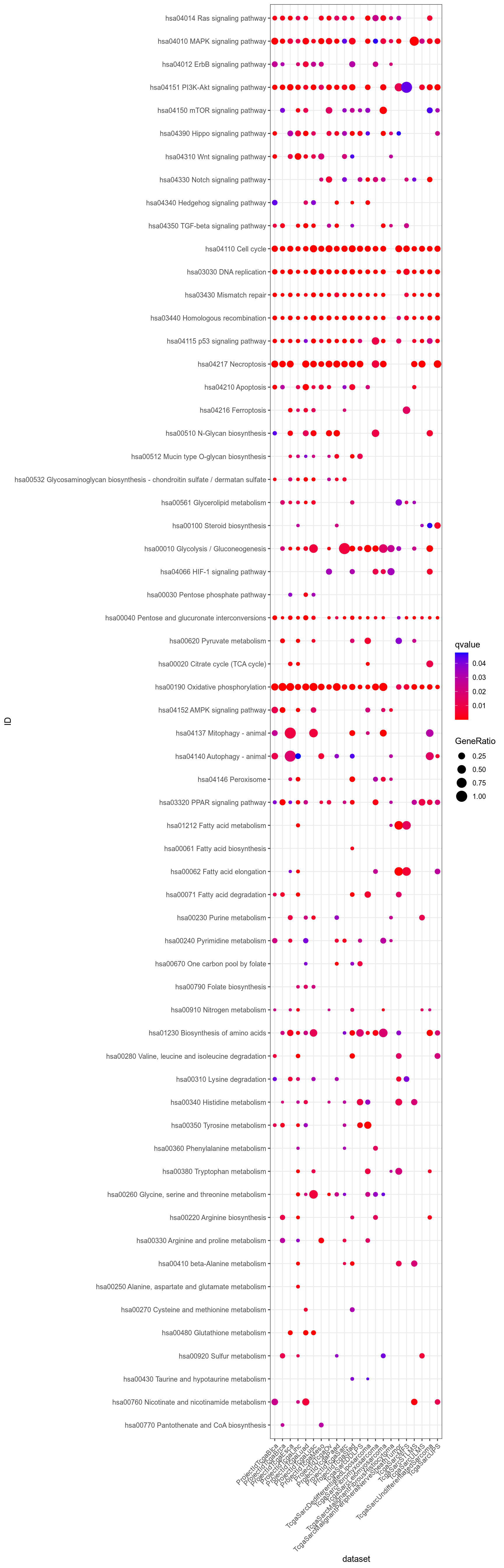 Dotplot for Kegg which are significant (q-value < 0.05) in at least one dataset and non ubiquitous, i.e. not significant for all datasets.