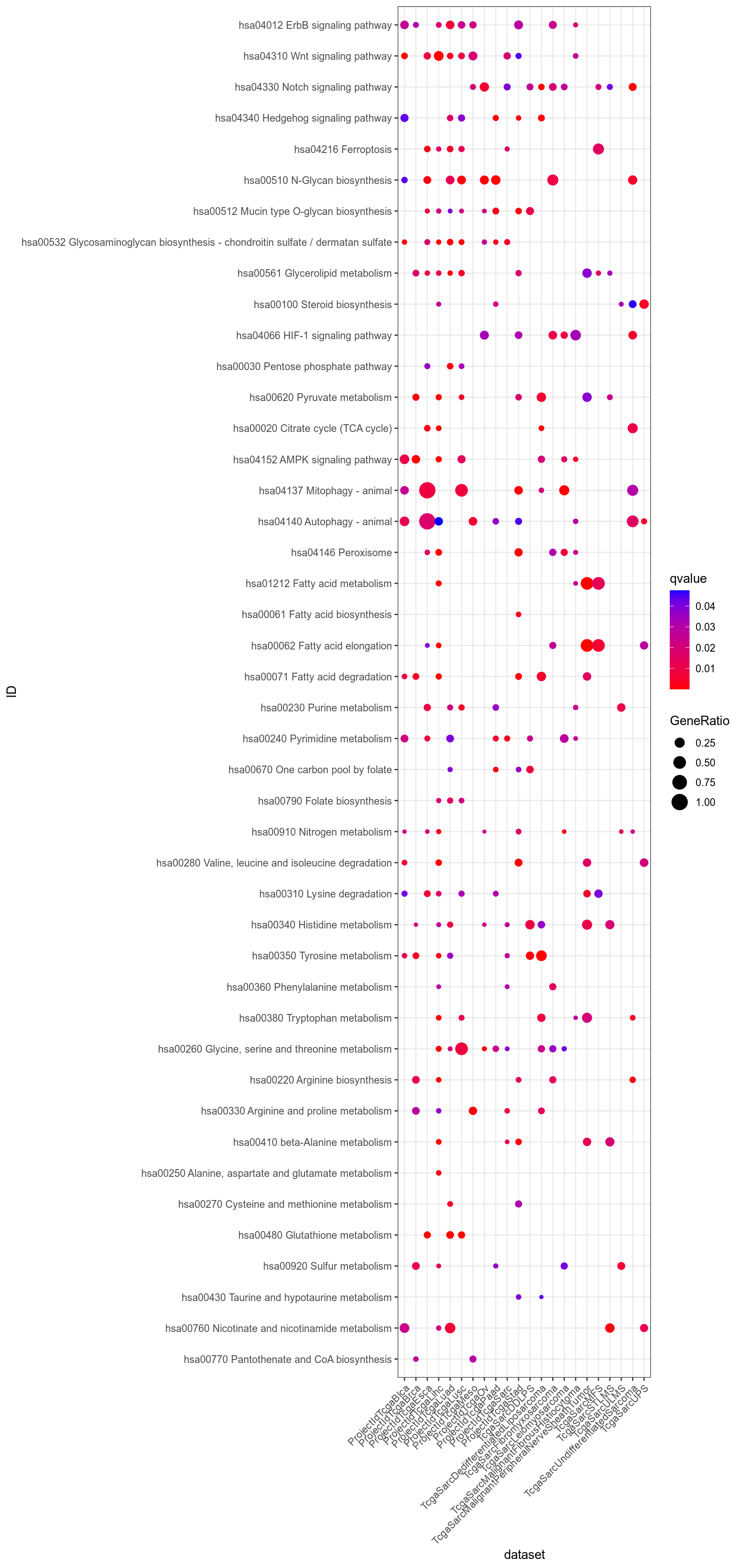 Dotplot for Kegg which are significant (q-value < 0.05) in at least one dataset, and uncommon, i.e. significant in less than half the datasets.