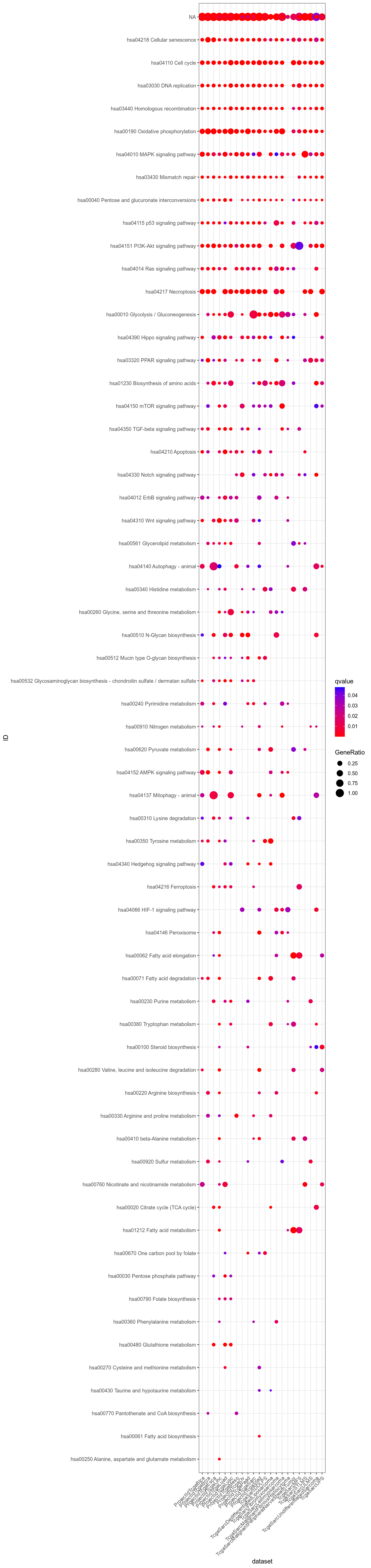Dotplot for Kegg significant (q-value < 0.05) in at least one dataset.