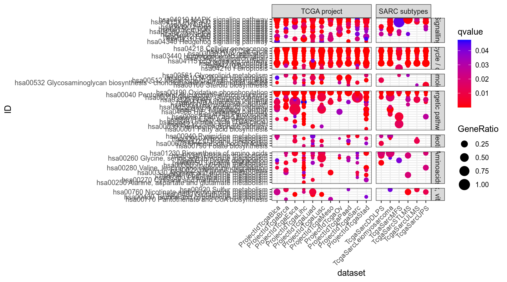 Dotplot for Kegg of interest (provided by Philipe Naquet).