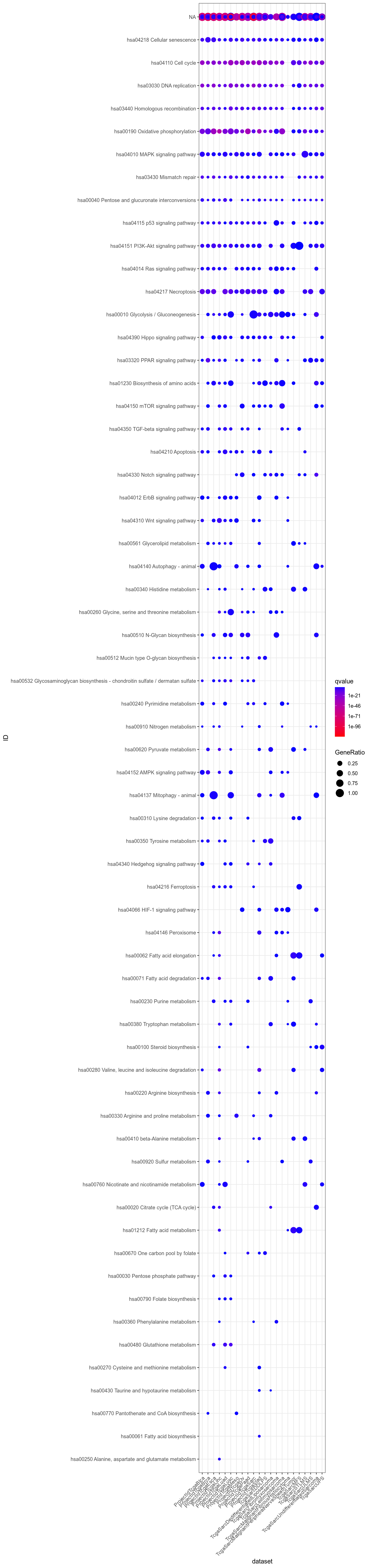 Dotplot for Kegg significant (q-value < 0.05) in at least one dataset.