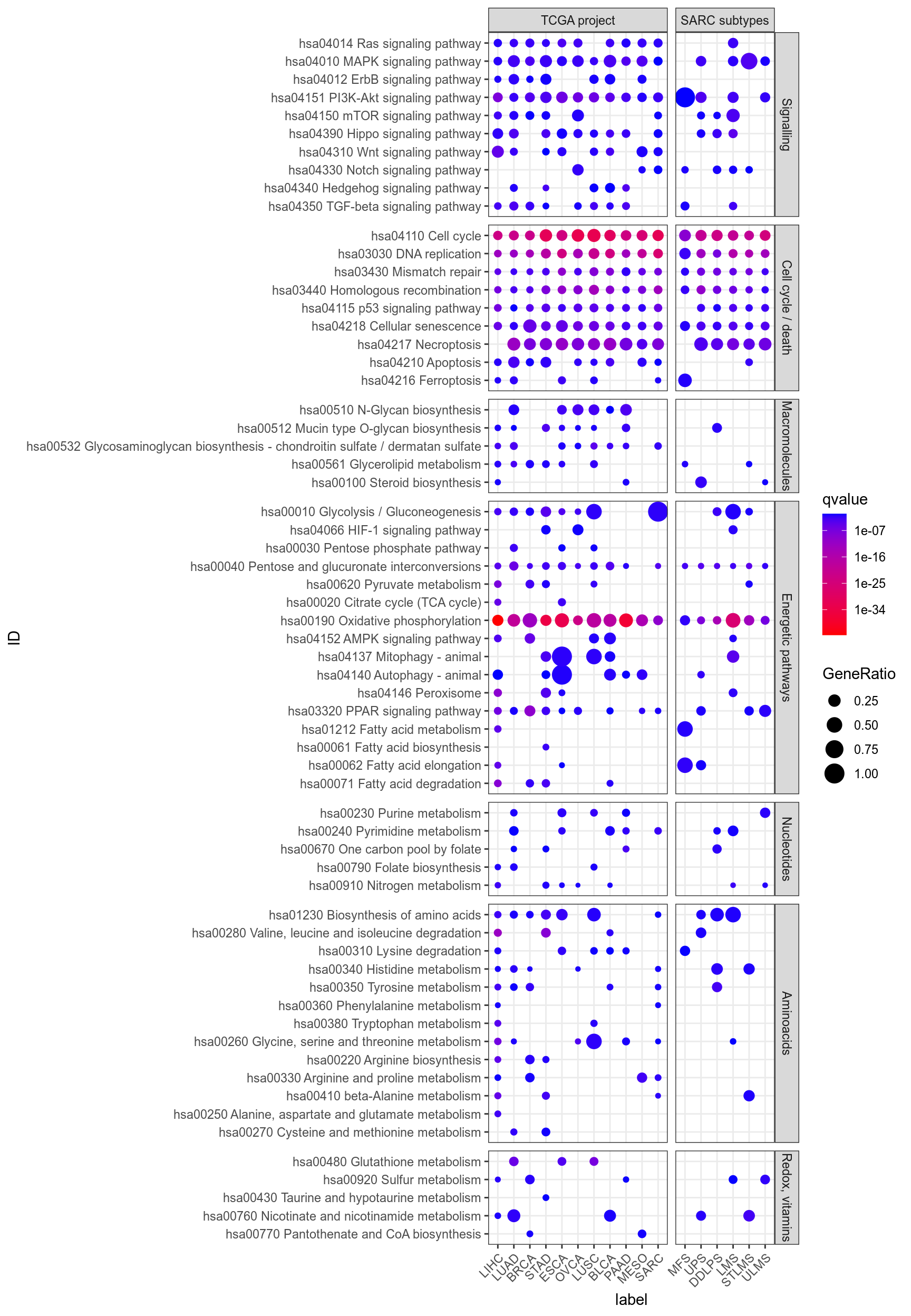 Dotplot for Kegg of interest (provided by Philipe Naquet).