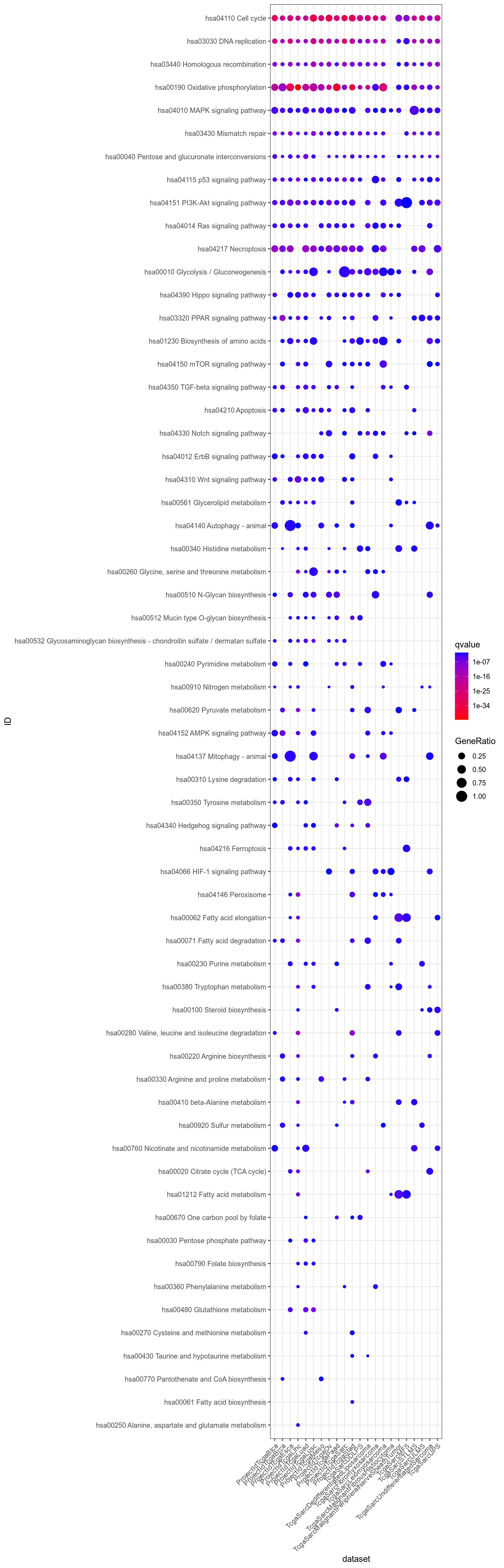 Dotplot for Kegg which are significant (q-value < 0.05) in at least one dataset and non ubiquitous, i.e. not significant for all datasets.