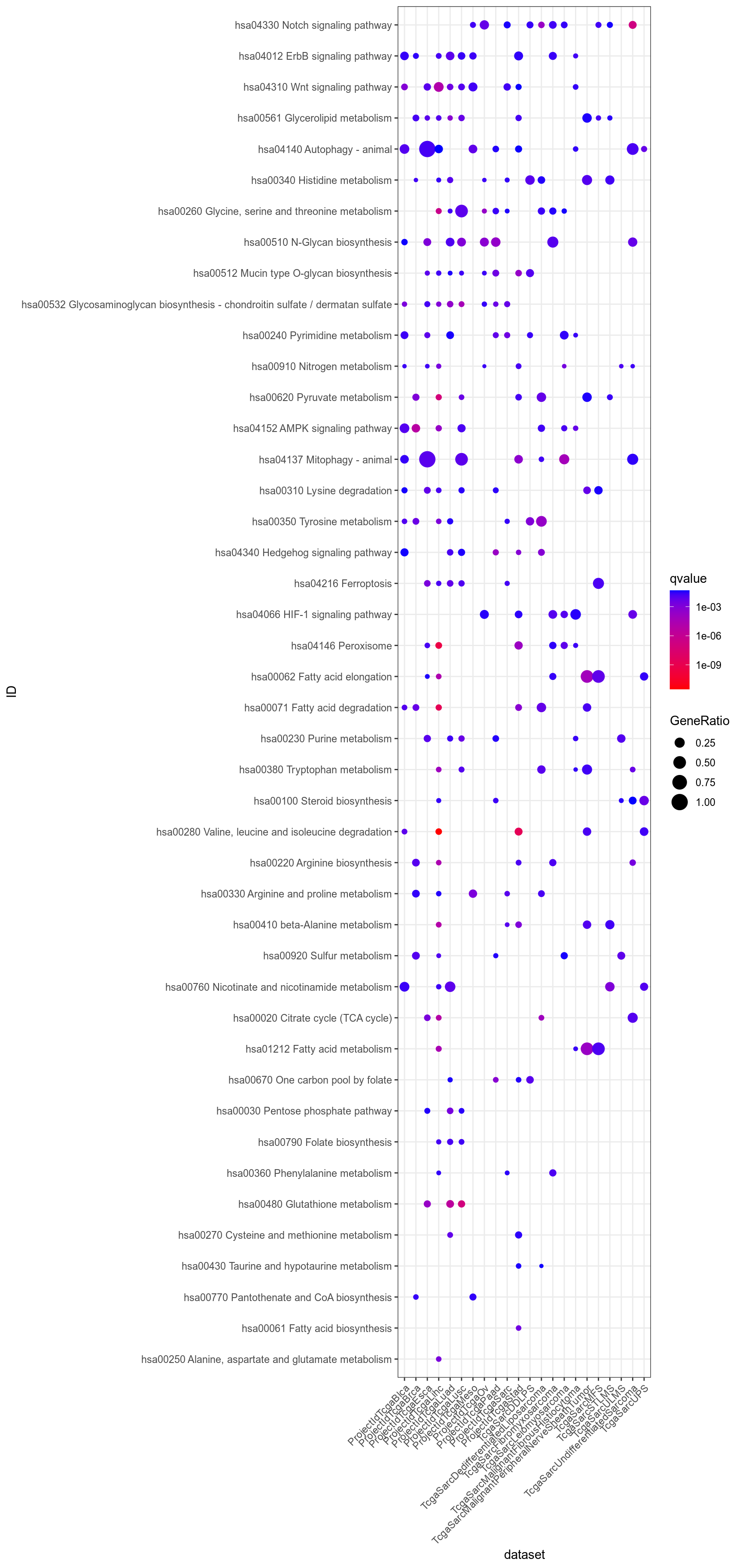 Dotplot for Kegg which are significant (q-value < 0.05) in at least one dataset, and uncommon, i.e. significant in less than half the datasets.
