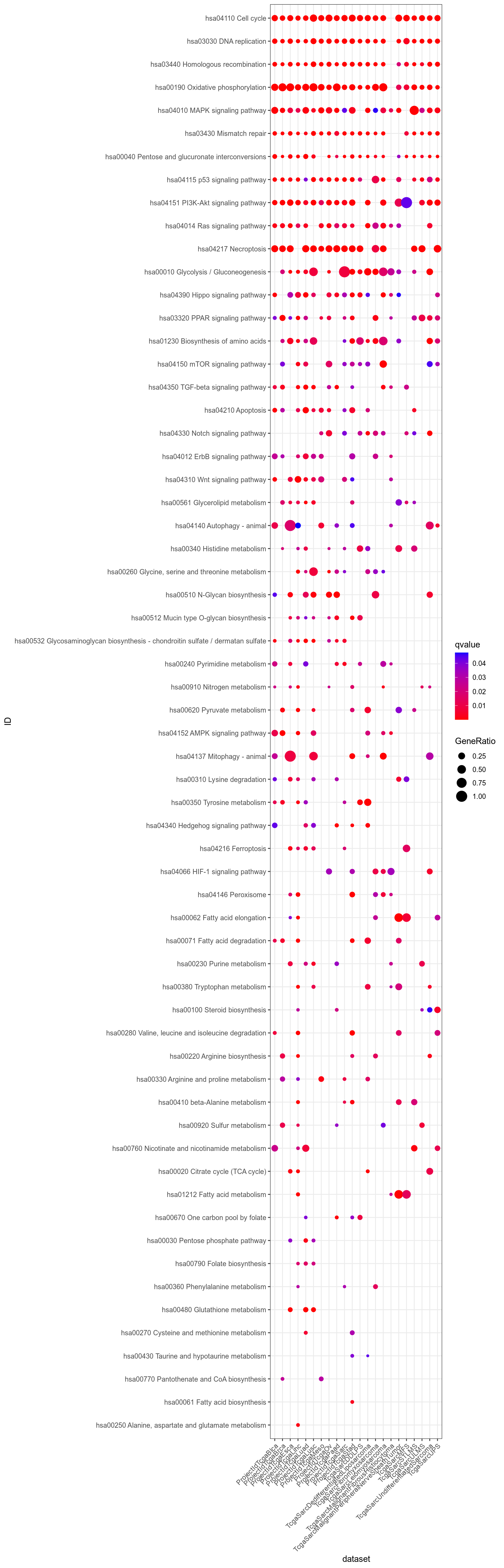 Dotplot for Kegg which are significant (q-value < 0.05) in at least one dataset and non ubiquitous, i.e. not significant for all datasets.
