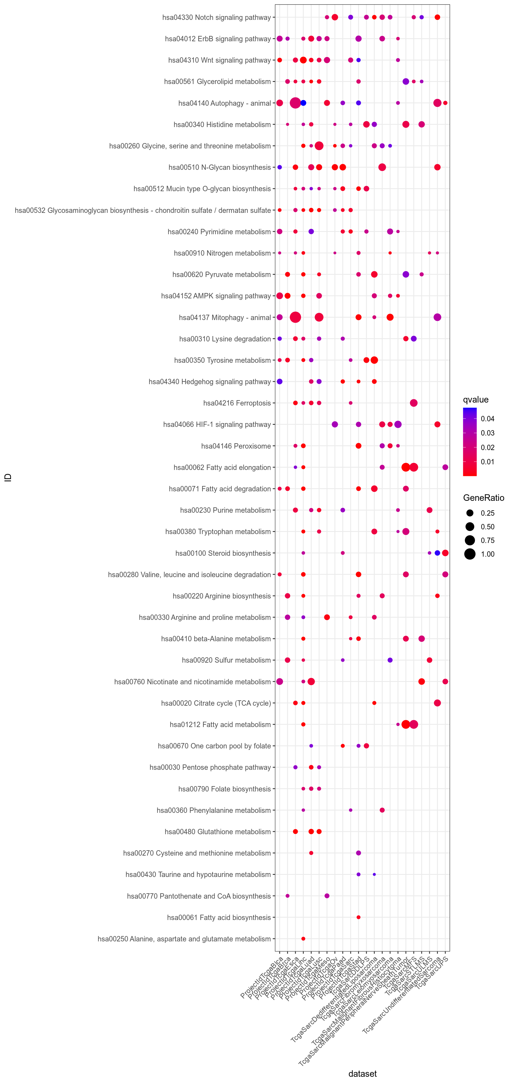 Dotplot for Kegg which are significant (q-value < 0.05) in at least one dataset, and uncommon, i.e. significant in less than half the datasets.