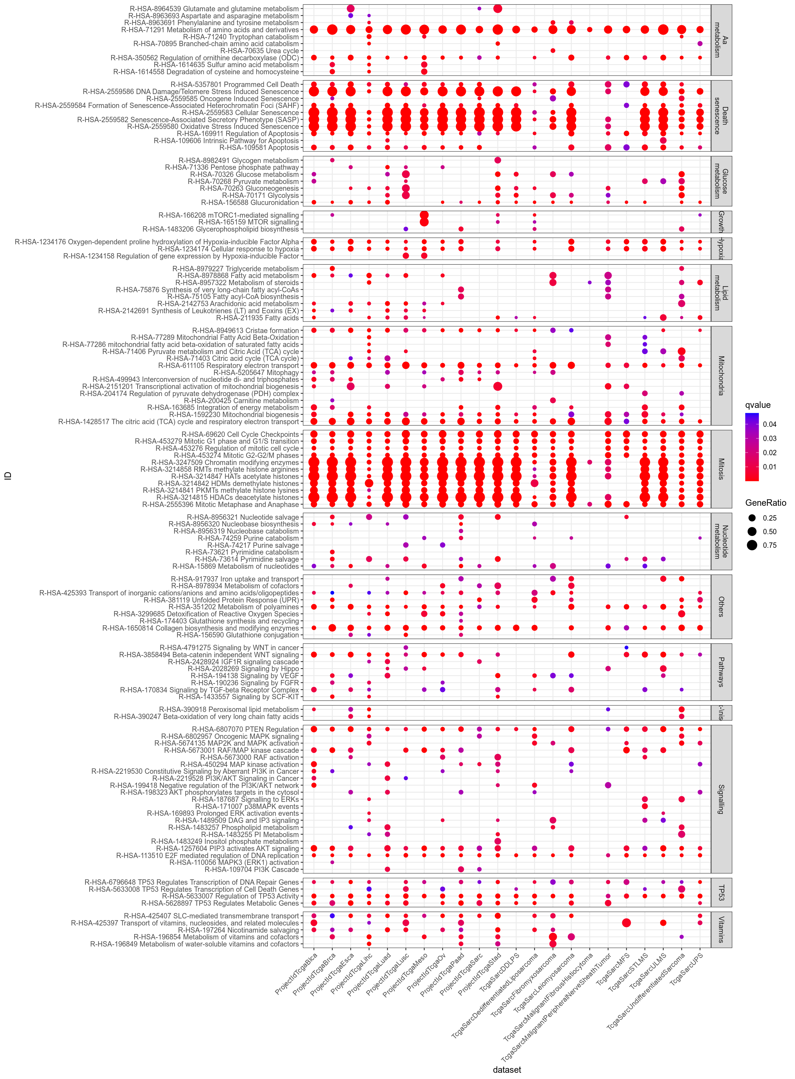 Dotplot for Pathway of interest (provided by Philipe Naquet).