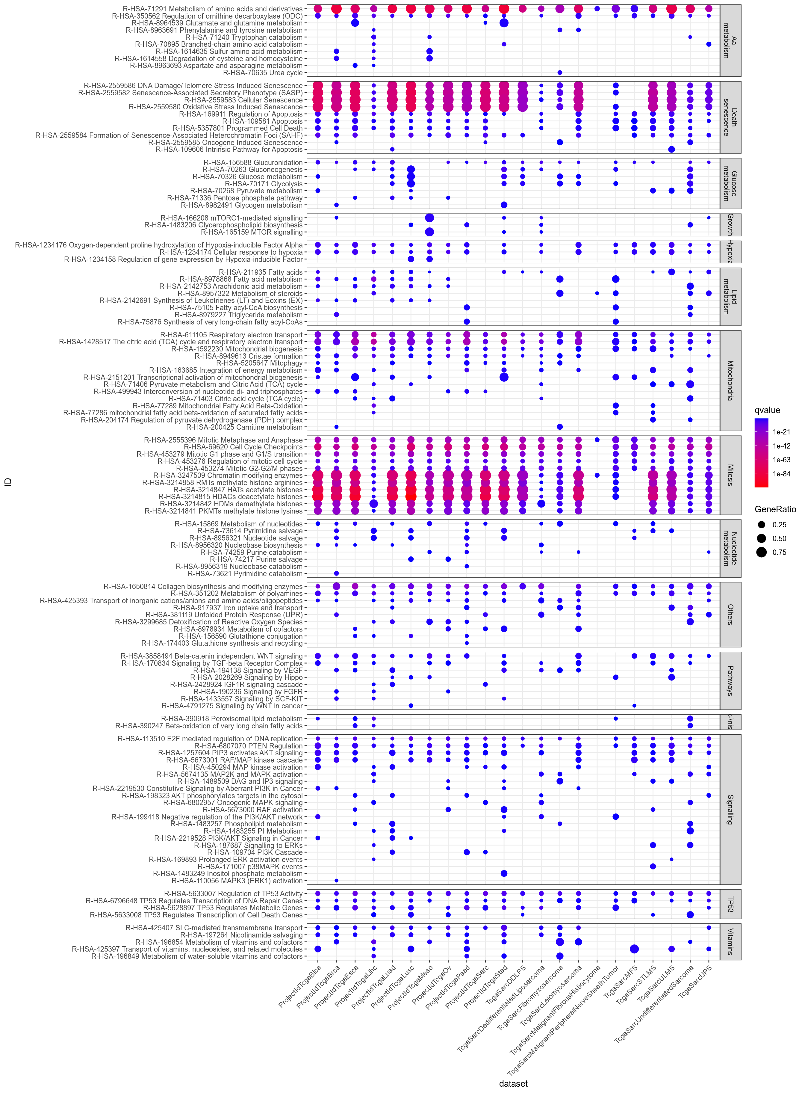 Dotplot for Pathway of interest (provided by Philipe Naquet).